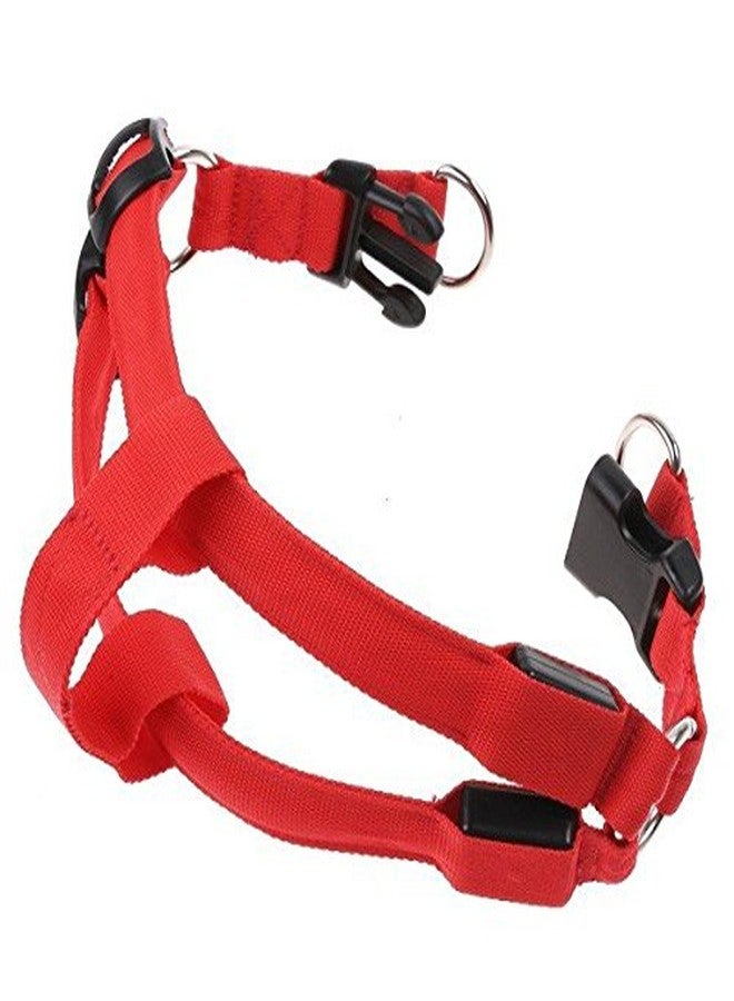 فوتابا ضوء وامض LED للكلاب من فوتابا، 3 أوضاع - أحمر - صغير - Image 5